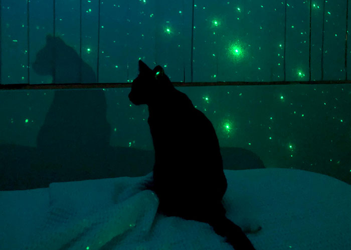 I live alone and (at the time) had 2 cats. I have one of those galaxy projection lights. The kind that basically projects something onto your ceiling.

It has an IR or bluetooth connection because it uses a remote to change the colors and settings on it. It also has a speaker on it for some reason to let you know if the remote is connected.

One night I had it turned off and sitting on my chair next to my bed. I was in a dead sleep when I heard the voice toggling on and off, saying "bluetooth disconnected" That was the initial thing that scared me because all I could hear was this disembodied voice. I found the source quickly and realized I had thrown some clothes over it so the IR port was blocked.

I fell back to sleep and was awoken again, this time in the morning, by a MALE voice saying "Oh, Hello blaze!" It was coming from the direction of the light. Blaze is the name of my cat. I laid still for a moment, my heart pounding. I rolled over and found my cat sitting on the other side of my bed. He WAS in the room. that scared the s**t out of me even more. I leapt out of bed and ran over to the thing and ripped it out of the wall.

I haven't turned it on since. It's been sitting in a corner of my room with the plug detached. I'm afraid to plug it back in.

I would blame hypnogogic hallucinations because I have had them before. Mostly my mom's voice calling my name. But the fact that my cat was in fact in my room, sitting basically in front of the light TERRIFIED me. My cats don't have collars/bells so It's not like I would have passively heard him in my sleep coming into my room and then imagined the voice. Not only that, but he seemed freaked out too, like he had heard the voice as well. I have no idea if it was that or he was just reacting to me waking up.

I inspected the whole device, looking for cameras and microphones. I was going to take it apart but I was too scared of what I would find.