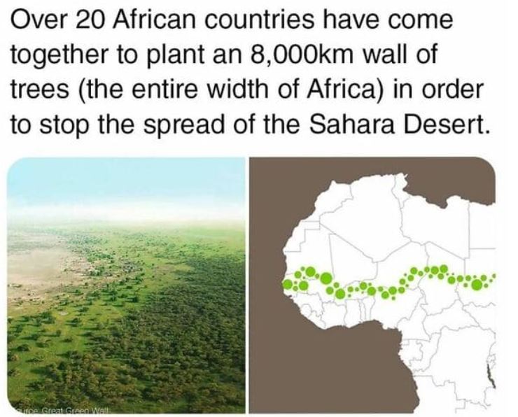 cool things - africa - Over 20 African countries have come together to plant an m wall of trees the entire width of Africa in order to stop the spread of the Sahara Desert. Los Creat. Gen Mall