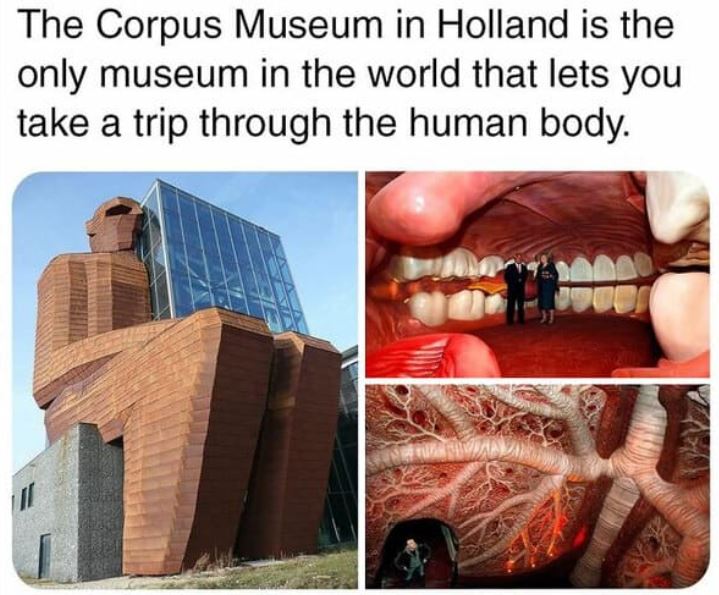 cool things - things you never knew existed - The Corpus Museum in Holland is the only museum in the world that lets you take a trip through the human body.