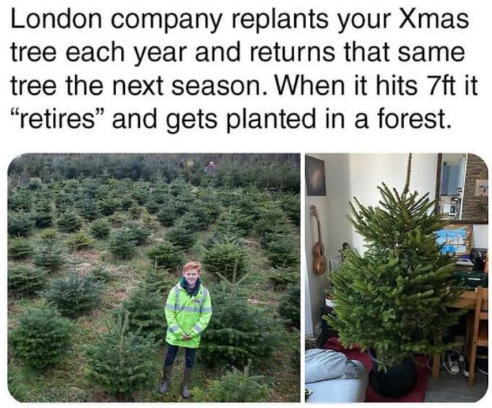 cool things - Christmas tree - London company replants your Xmas tree each year and returns that same tree the next season. When it hits 7ft it "retires" and gets planted in a forest.