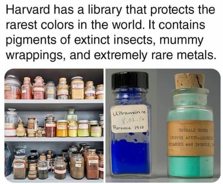 cool things - harvard has a library which was made contains pigments of extinct insects wrappings from mummies rare metals and much more - Harvard has a library that protects the rarest colors in the world. It contains pigments of extinct insects, mummy w