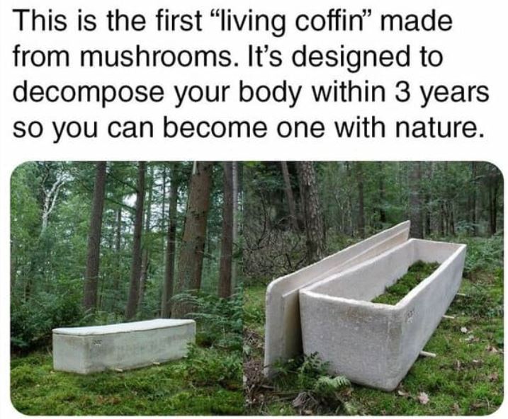 cool things - This is the first living coffin made from mushrooms. It's designed to decompose your body within 3 years so you can become one with nature.