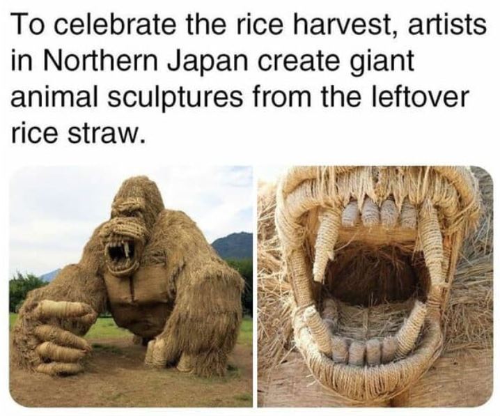cool things - uwasekigata park - To celebrate the rice harvest, artists in Northern Japan create giant animal sculptures from the leftover rice straw.