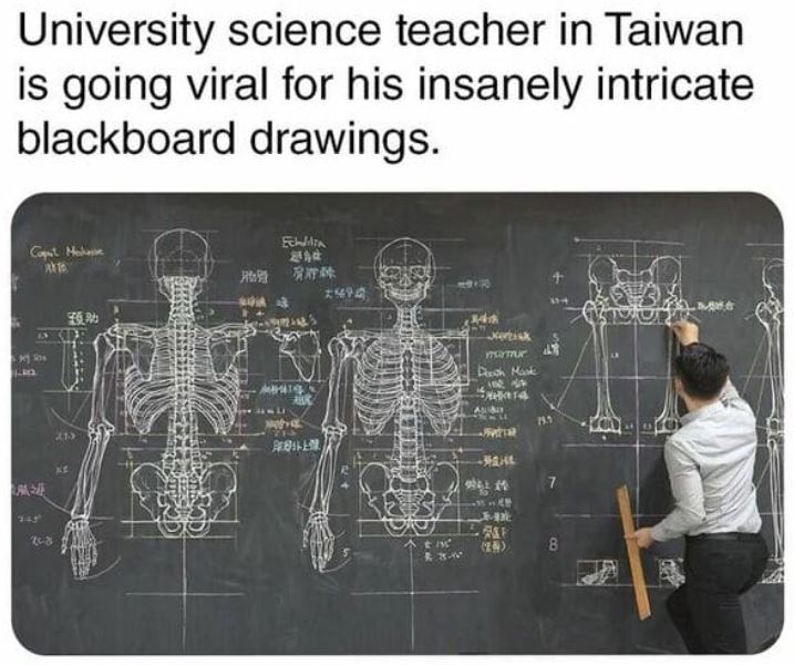 cool things - anatomy chalkboard - University science teacher in Taiwan is going viral for his insanely intricate blackboard drawings. Cost Malone Ech ! 3 25 Je Martur Push Mark 162 Ta Al 139 ra 215 015 7 kat In 2 8