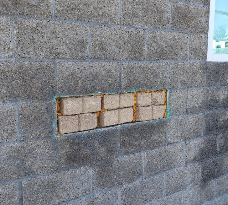“Patch the wall? Sure thing, boss!”