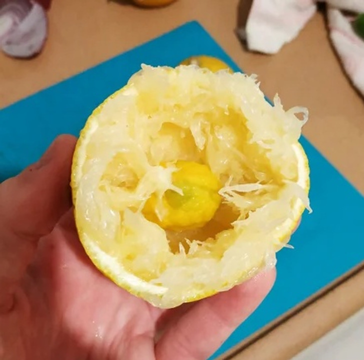 “Found a small lemon growing in my lemon.”