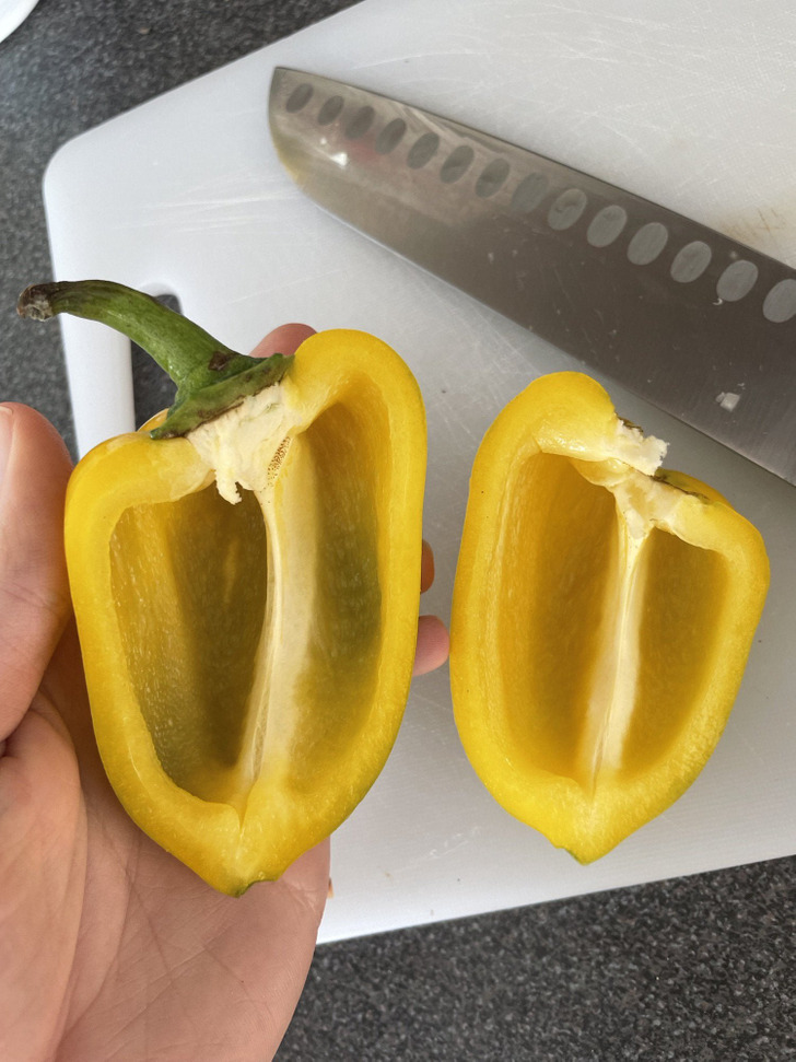 “The pepper I chopped up today had no seeds in it.”