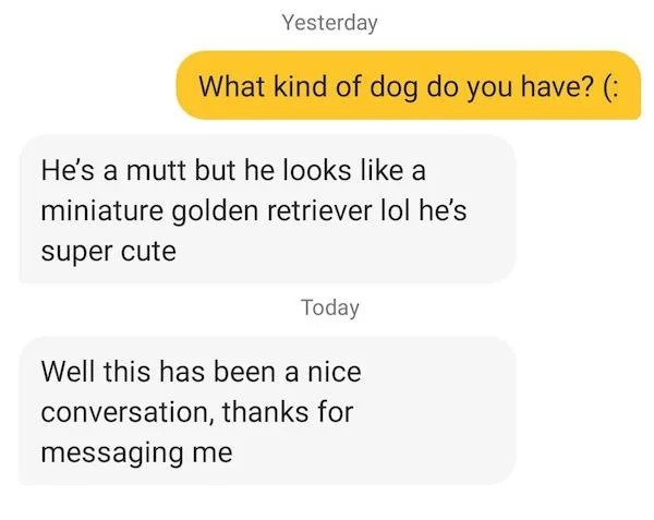 Passive Aggressive - organization - Yesterday What kind of dog do you have? He's a mutt but he looks a miniature golden retriever lol he's super cute Today Well this has been a nice conversation, thanks for messaging me
