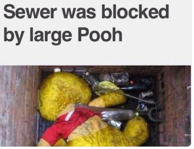 WTF Headlines - sewer was blocked by large pooh - Sewer was blocked by large Pooh Sul