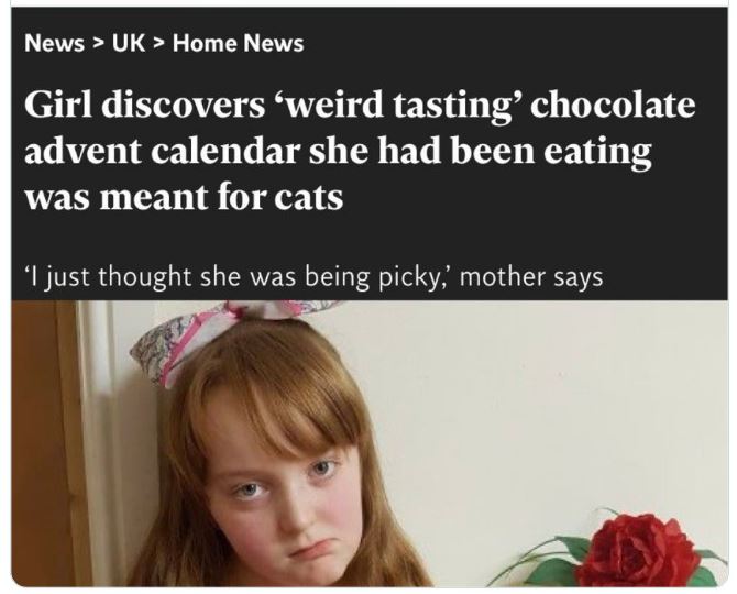 WTF Headlines - Home News Girl discovers 'weird tasting' chocolate advent calendar she had been eating was meant for cats 'I just thought she was being picky, mother says