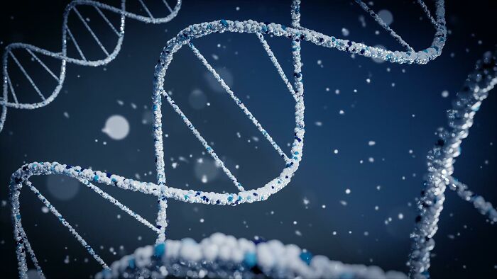cool facts - A single gram of DNA contains about 700 terabytes of information.