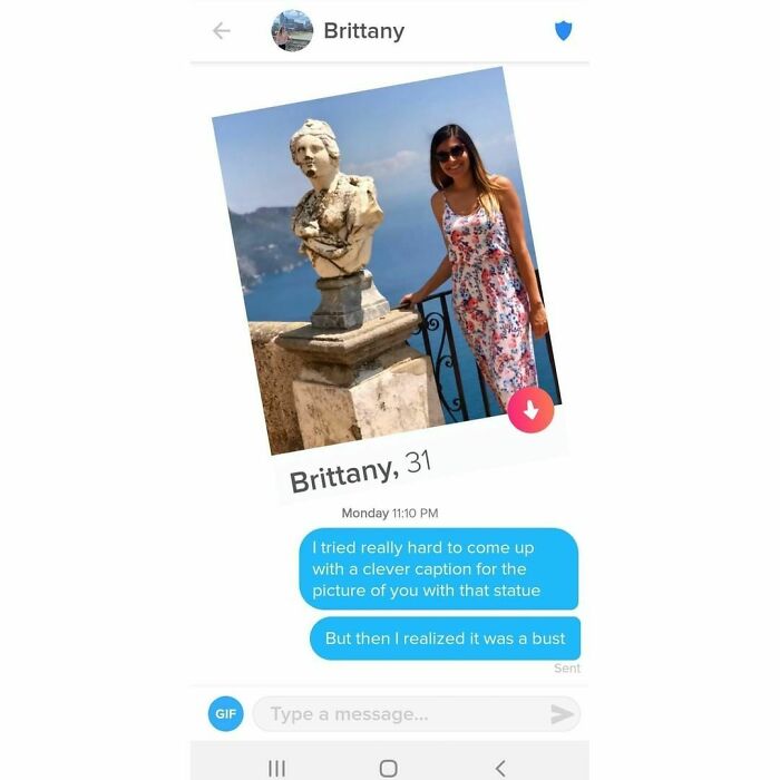 Shameless Tinder Bios - tinder brittany 31 - Gif Brittany Brittany, 31 Monday I tried really hard to come up with a clever caption for the picture of you with that statue But then I realized it was a bust Sent Type a message... |||