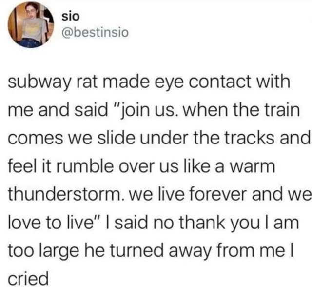 oddly specific posts - subway rat tweet - sio subway rat made eye contact with me and said "join us. when the train comes we slide under the tracks and feel it rumble over us a warm thunderstorm. we live forever and we love to live" I said no thank you I 