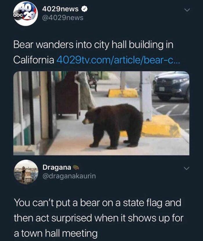 funny comments - bear wanders into city hall - 40 4029news abc 29 Bear wanders into city hall building in California 4029tv.comarticlebearc... 2 Dragana You can't put a bear on a state flag and then act surprised when it shows up for a town hall meeting