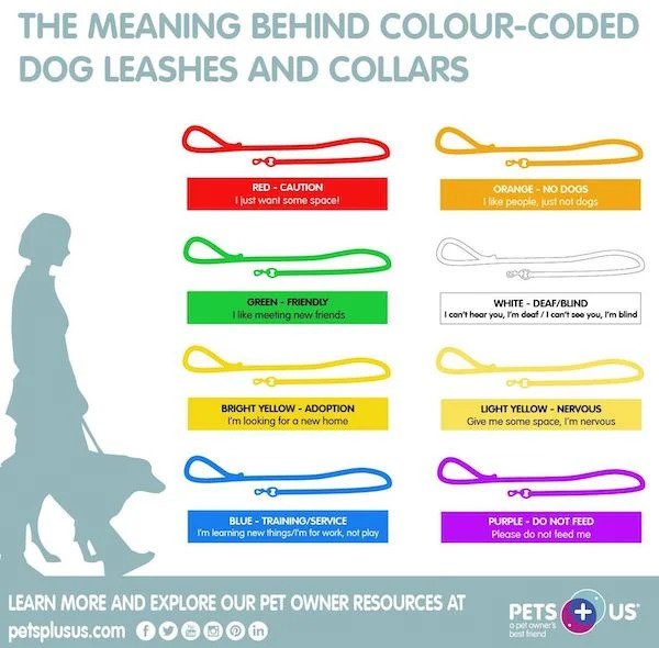 useful charts - infographics - leash color meanings - The Meaning Behind ColourCoded Dog Leashes And Collars 0 Red Caution I just want some space! Orange No Dogs I people, just not dogs Green Friendly I meeting now friends White DeafBlind I can't hoor you