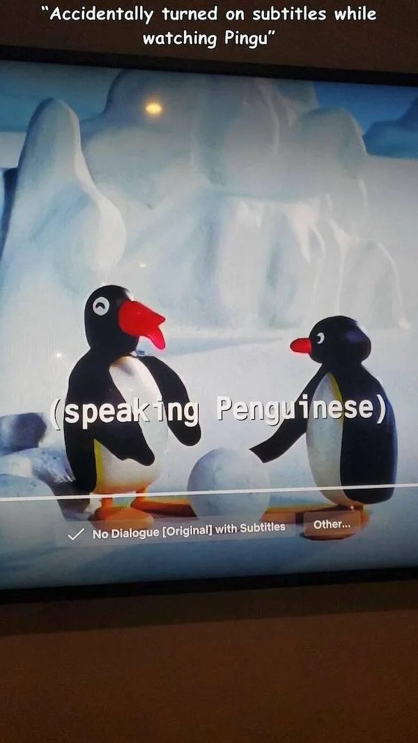 people who failed successfully - penguin - "Accidentally turned on subtitles while watching Pingu" speaking Penguinese Other... No Dialogue Original with Subtitles