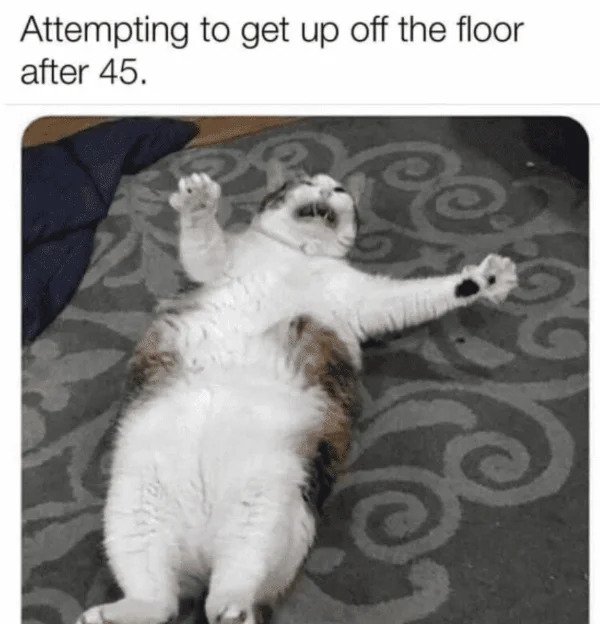 Getting Old Sucks - cat sit up meme - Attempting to get up off the floor after 45. is 90