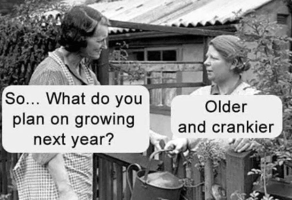 Getting Old Sucks - do you plan on growing this year older and crankier - 33.0 So... What do you plan on growing next year? Older and crankier
