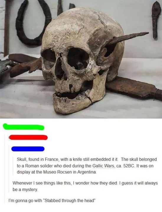 savage comments - roman soldier skull - Skull, found in France, with a knife still embedded it it. The skull belonged to a Roman solider who died during the Gallic Wars, ca. 52BC. It was on display at the Museo Rocsen in Argentina Whenever I see things th