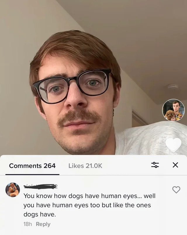 savage comments - You know how dogs have human eyes... well you have human eyes too but the ones dogs have. 18h