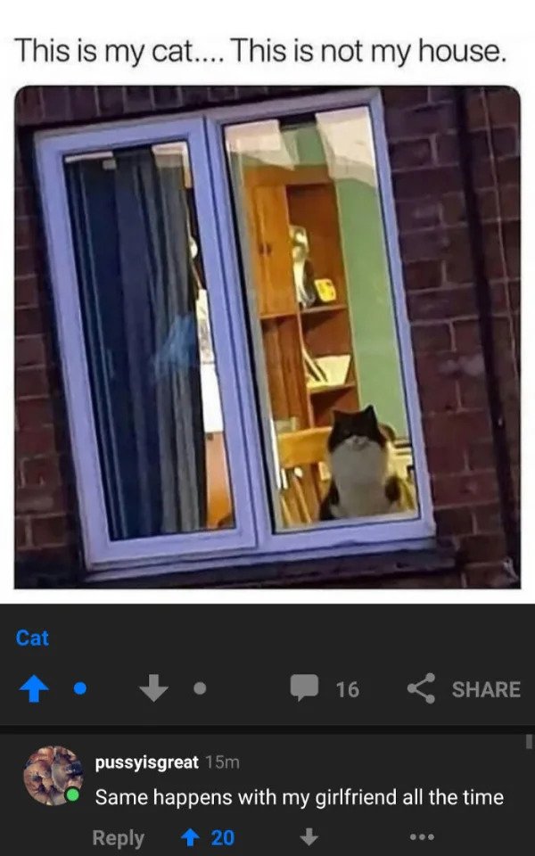 savage comments - my cat this is not my house - This is my cat.... This is not my house. Cat 16 pussyisgreat 15m Same happens with my girlfriend all the time 20