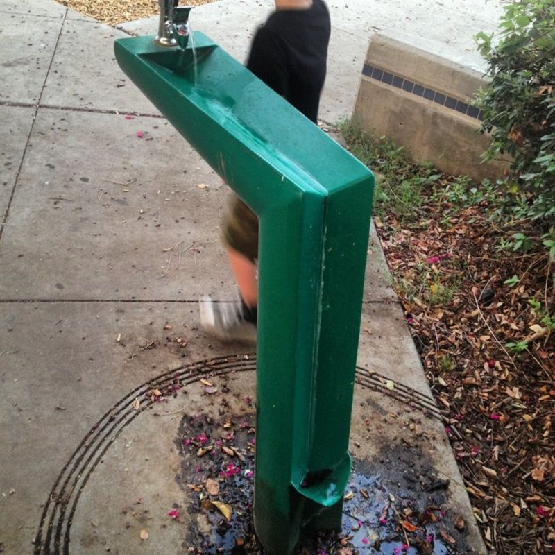Both humans and dogs can use this drinking fountain in the park.