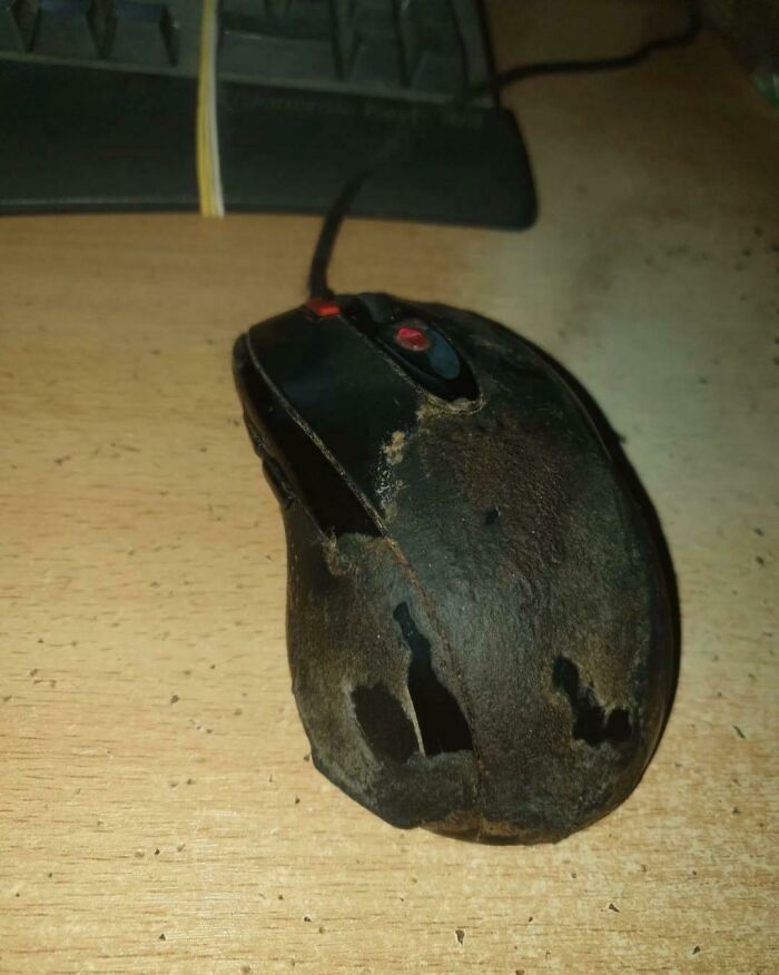 tech support fail, dumb customers -  Computer mouse