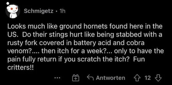 Oddly Specific Things - 1h Looks much ground hornets found here in the Us. Do their stings hurt being stabbed with a rusty fork covered in battery acid and cobra venom?.... then itch for a week?... only to have the pain fully return if you scratch the itc