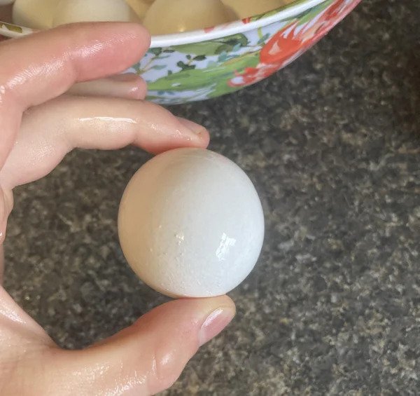 This morning I found a very round egg