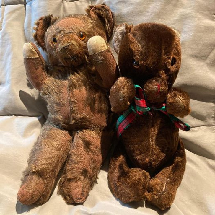 “My wife and I celebrated our fiftieth anniversary. Our childhood bears are in their seventies and still reside on our bed.”