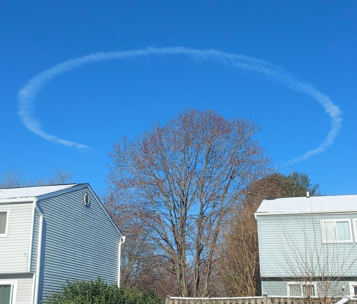 “The tree in my backyard has a halo.”