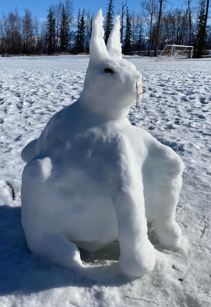 “This snow-rabbit I found on a walk”