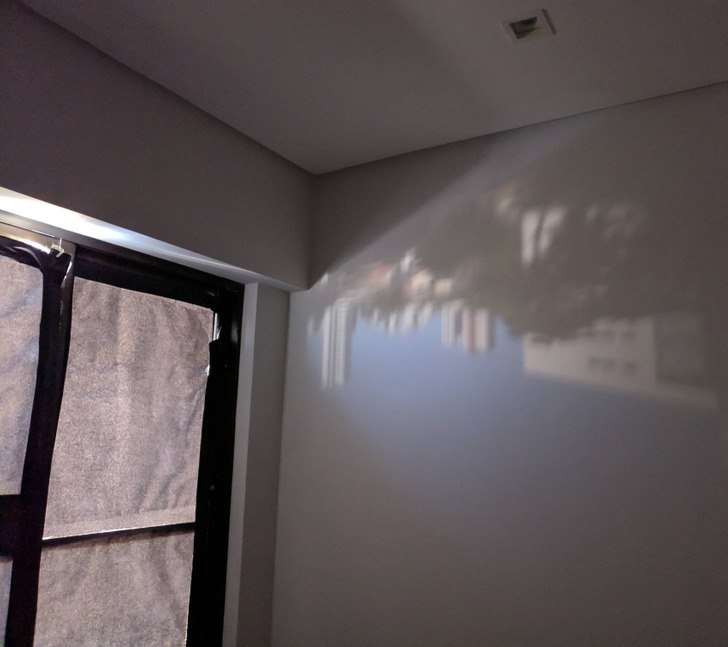 “The wear and tear on my improvised blackout created a camera obscura effect/projection on my wall.”