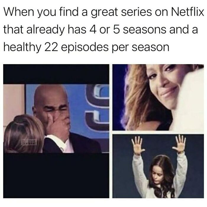 memes for people over 30 - relatable memes - netflix memes - When you find a great series on Netflix that already has 4 or 5 seasons and a healthy 22 episodes per season 9