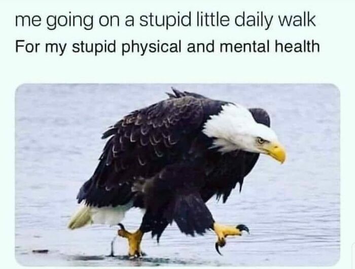 memes for people over 30 - relatable memes - me going for my stupid walk - me going on a stupid little daily walk For my stupid physical and mental health