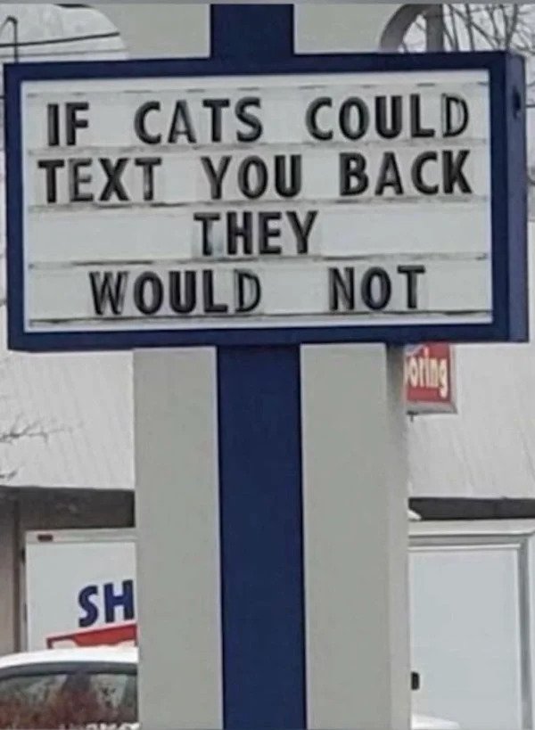 sad cringe - street sign - If Cats Could Text You Back They Would Not oring Sh