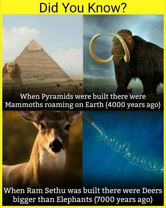 30 Fascinating Facts You May Not Have Known.