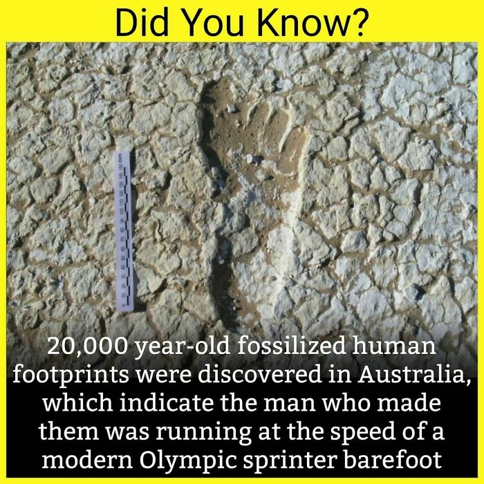 30 Fascinating Facts You May Not Have Known.