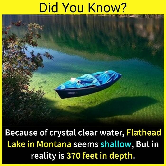 30 Fascinating Facts You May Not Have Known.