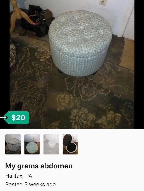 wtf things for sale - furniture - $20 My grams abdomen Halifax, Pa Posted 3 weeks ago