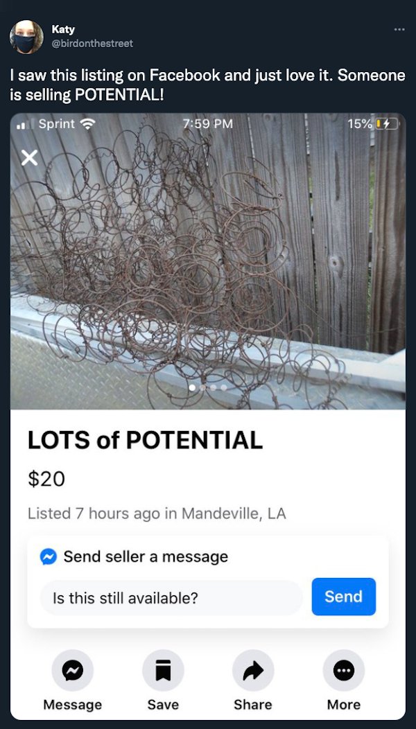 wtf things for sale - screenshot - Katy I saw this listing on Facebook and just love it. Someone is selling Potential! Sprint 15% Xx Lots of Potential $20 Listed 7 hours ago in Mandeville, La Send seller a message Is this still available? Message Save Sen