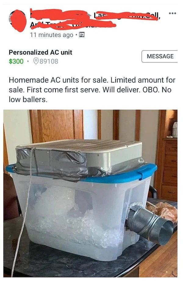 27 Bizarre and Questionable Items People Tried Selling Online