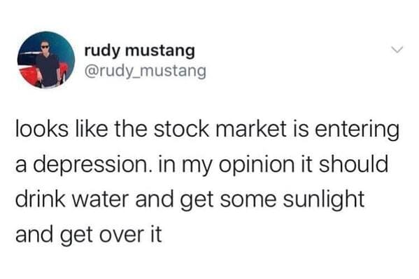 useless advice - boss babes pyramid scheme meme - rudy mustang looks the stock market is entering a depression. in my opinion it should drink water and get some sunlight and get over it