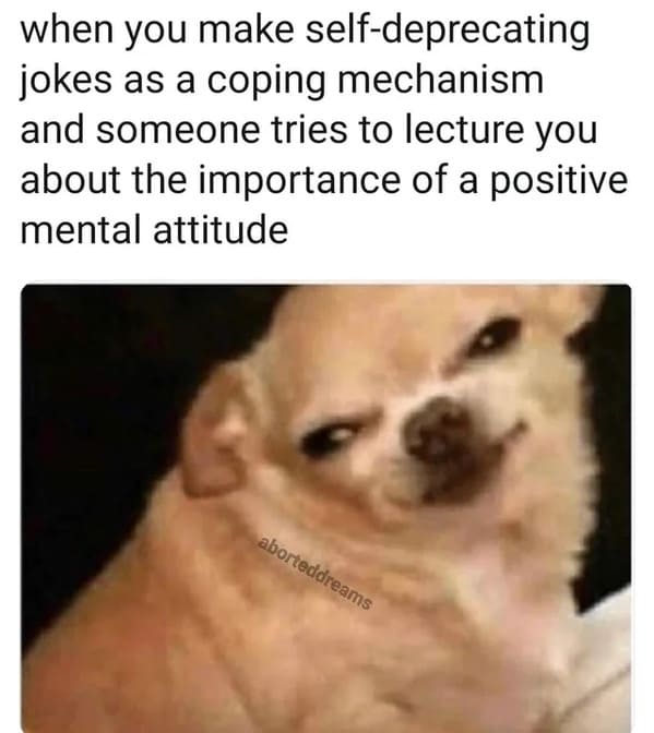 useless advice - everyone thinks your wrong but a google search proves you right - when you make selfdeprecating jokes as a coping mechanism and someone tries to lecture you about the importance of a positive mental attitude aborteddreams
