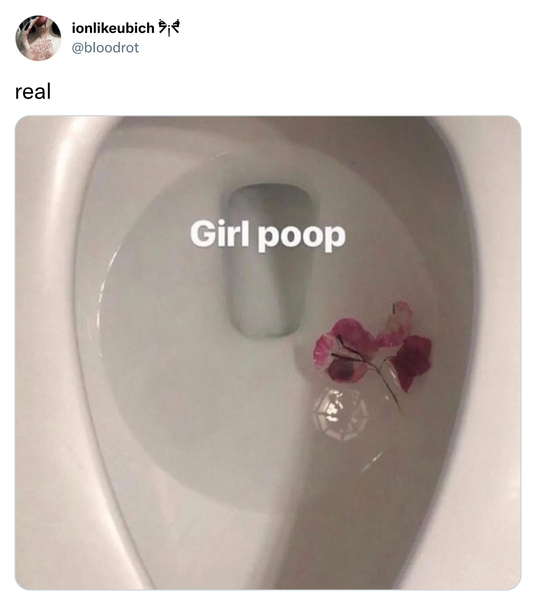 funny tweets - hardware - real ionubich Girl poop