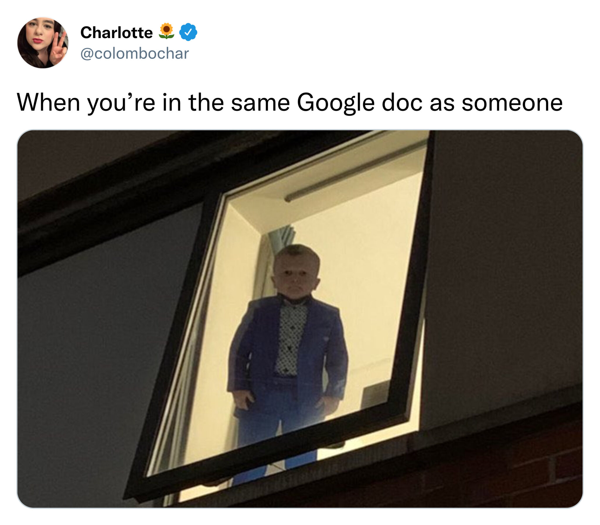 funny tweets - hasbulla looking out window - Charlotte When you're in the same Google doc as someone