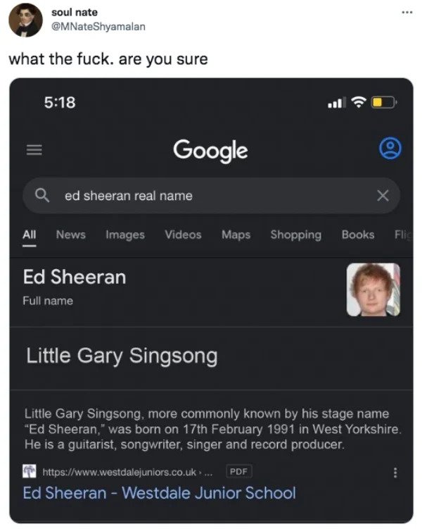 funny tweets - software - soul nate what the fuck. are you sure Google ed sheeran real name X All News Images Videos Maps Shopping Books Flic Ed Sheeran Full name Little Gary Singsong Little Gary Singsong, more commonly known by his stage name "Ed Sheeran