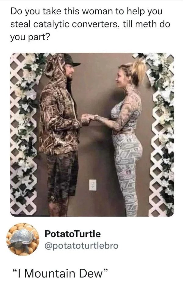funny tweets - if ohio married florida - Do you take this woman to help you steal catalytic converters, till meth do you part? PotatoTurtle 66 "I Mountain Dew"