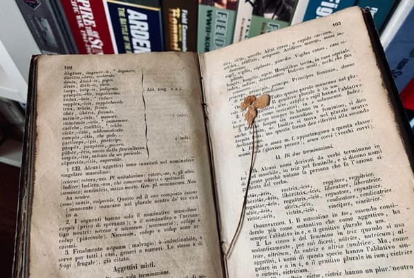 “There’s a dried flower in this 165 years old latin book I just found in our attic”