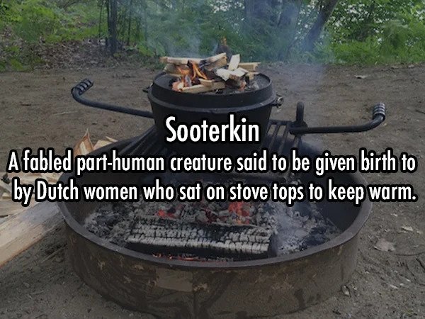 25 Weird Words That Are Actually In The Dictionary.